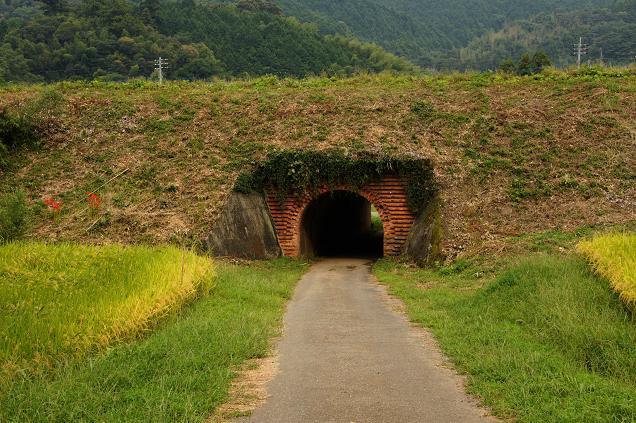 45　可愛いトンネル.JPG